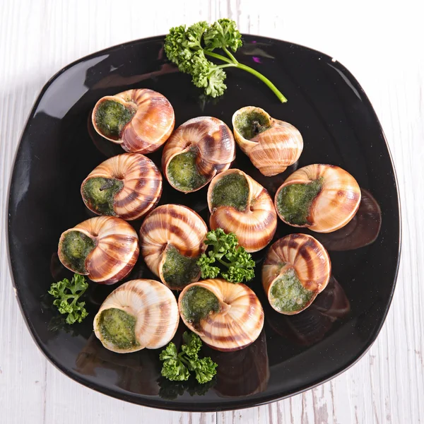 Escargot de Bourgogne — Photo