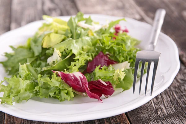 Taze salata — Stok fotoğraf