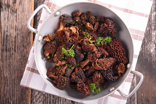 Fresh morel close up — Stock Photo, Image