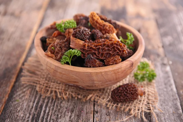 Morel fresca de cerca — Foto de Stock