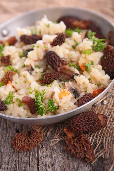 Risotto aux champignons sur assiette — Photo