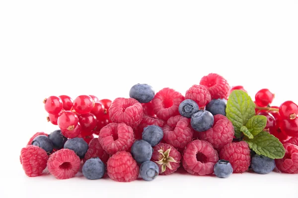 Beeren auf Weiß mischen — Stockfoto