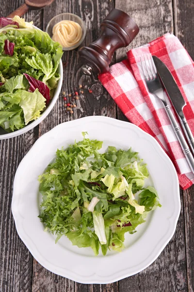 Salade fraîche aux herbes — Photo