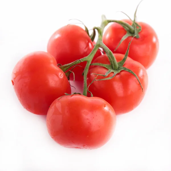 Sabrosos tomates frescos — Foto de Stock