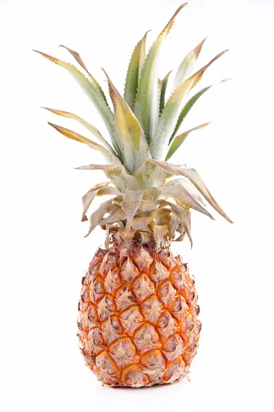 Beautiful tropical pineapple — Stock Photo, Image