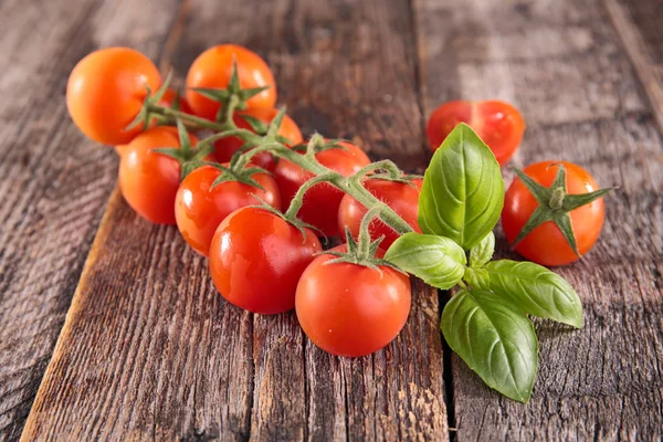 Verse tomaten en basilicum op hout — Stockfoto