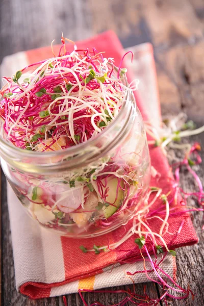 Plantaardige salade met tofu — Stockfoto