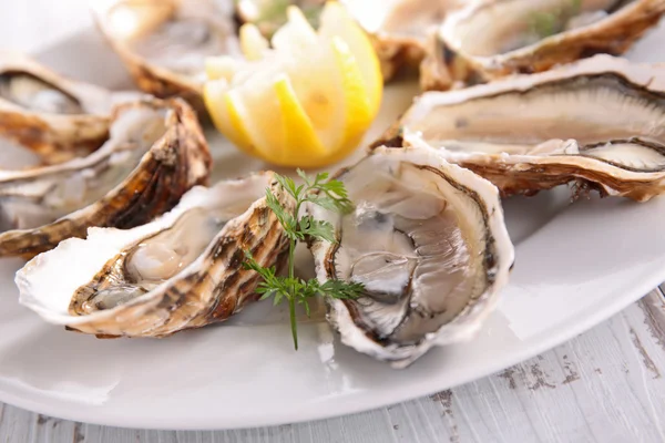 Fresh Oysters with lemon — Stock Photo, Image