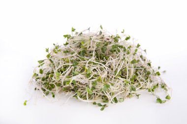 Çiğ brokoli filizi