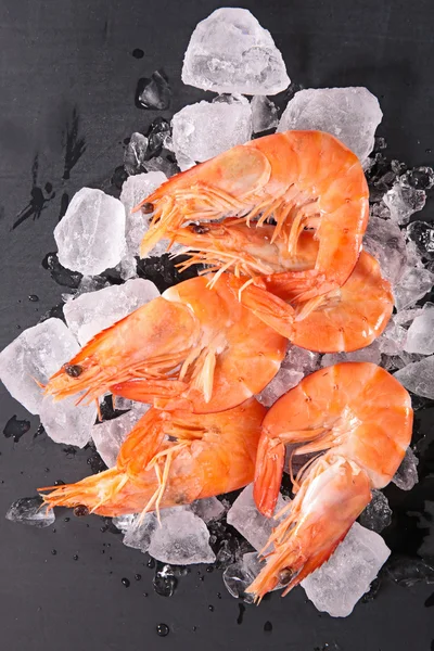 Crevettes fraîches sur glace — Photo