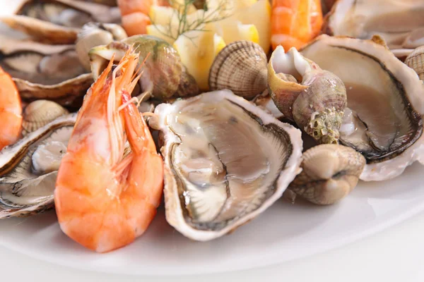 Mariscos. ostras, gambas, almejas — Foto de Stock