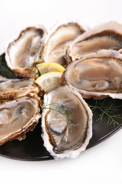 Austern, Meeresfrüchte, Muscheln — Stockfoto
