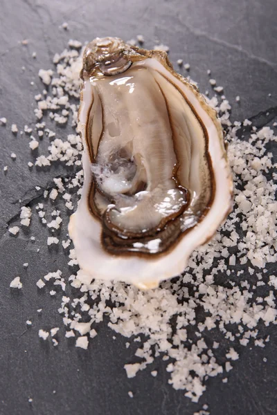 Ostra fresca, frutos do mar — Fotografia de Stock