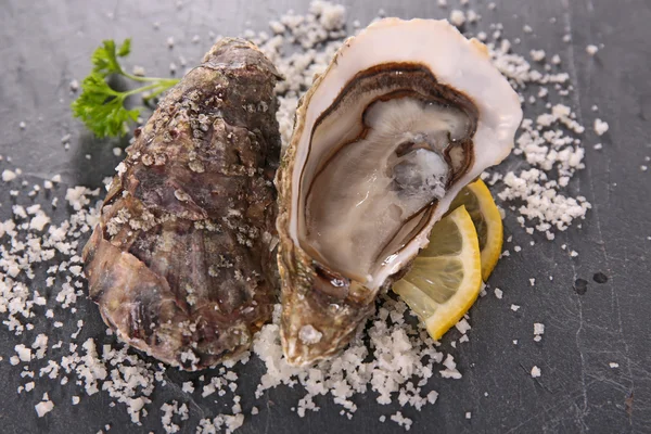 Fresh oysters, seafood — Stock Photo, Image