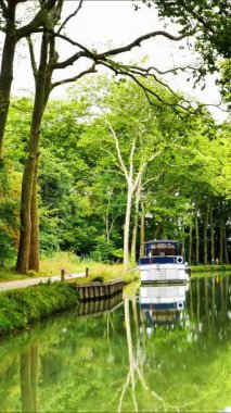 Nehirde ve ağaçta tekne, Canal du Midi