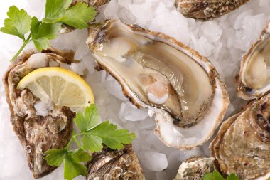 Limonlu ve buzlu taze istiridye.