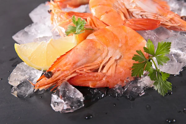 Shrimps with ice and lemon — Stock Photo, Image