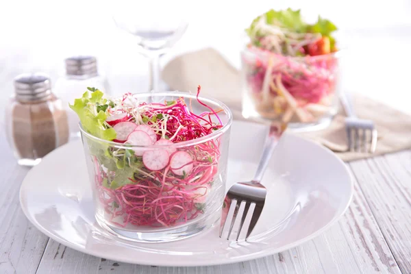 Zeleninový salát s ředkvičkami — Stock fotografie