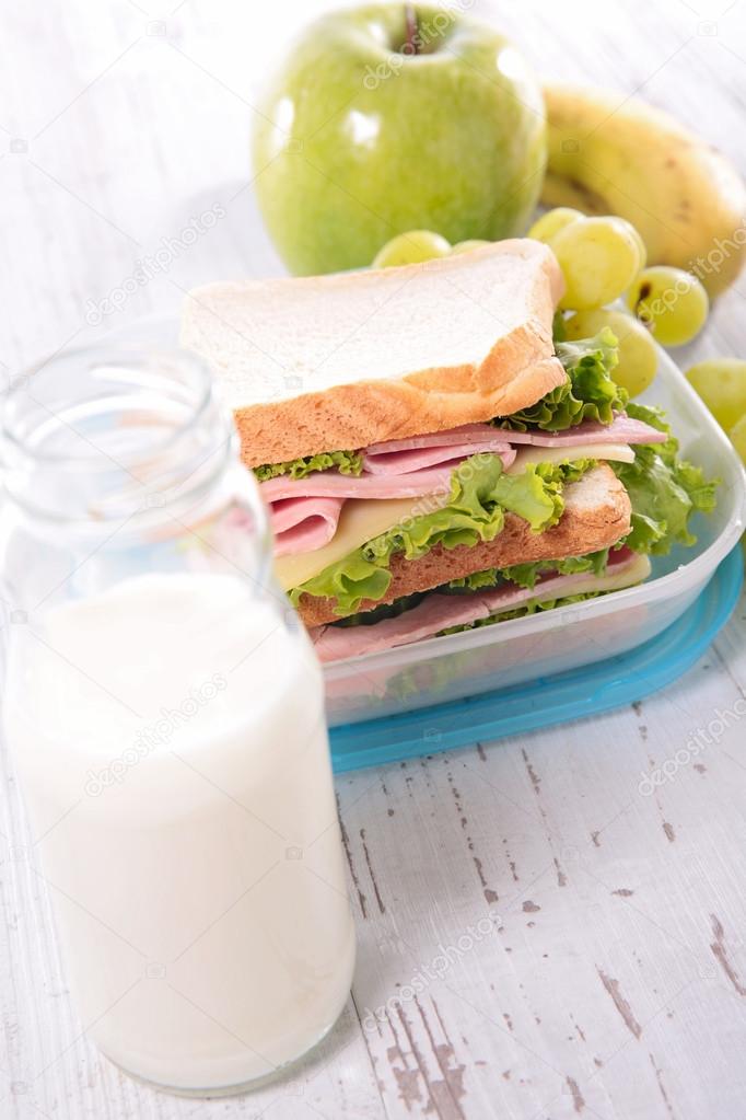 school lunch box with sandwich