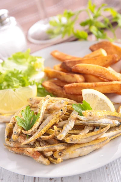 Stekt fisk og pommes frites – stockfoto