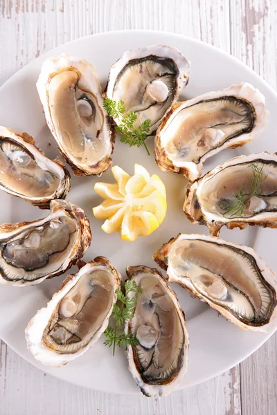 Färska ostron, skaldjur — Stockfoto