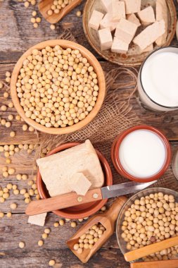 soya ürünleri ürün çeşitliliği