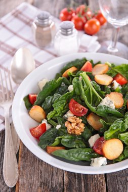 sebze ıspanak salatası