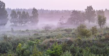 Sabah nehirde yükselen güneşin ilk ışınları üzerinde bir sis yayılır, tüm yeni bir gün beklentisiyle dondu. 