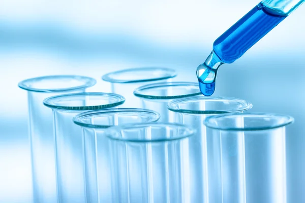 Pipette adding fluid to one of several test tubes .medical glassware — Stock Photo, Image