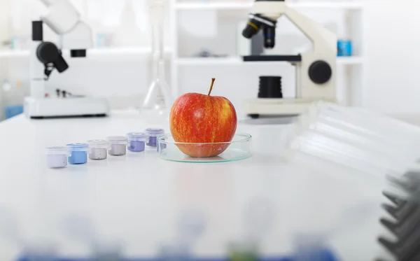 Laboratorio químico del suministro de alimentos.Alimentos en laboratorio, ADN modificar —  Fotos de Stock