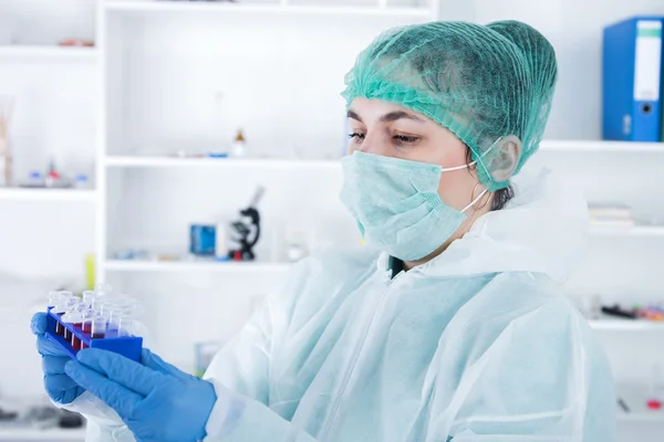 Asistente de laboratorio en el laboratorio de de de calidad alimentaria.Ensayo de cultivo celular para probar semillas genéticamente modificadas —  Fotos de Stock