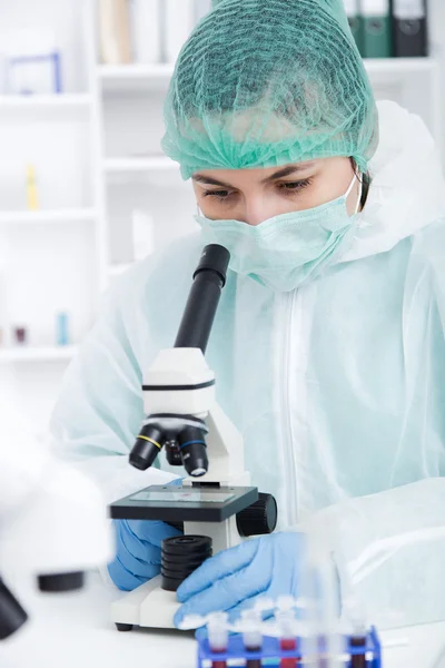 Assistente de laboratório no laboratório de qualidade dos alimentos.Ensaio de cultura celular para testar sementes geneticamente modificadas — Fotografia de Stock