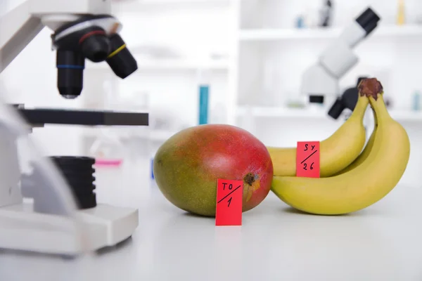 Laboratório Químico do Abastecimento de Alimentos. Alimentos em laboratório, dna modificar  . — Fotografia de Stock