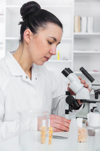 Лабораторный ассистент в лаборатории качества пищевых продуктов.Анализ культуры клеток для тестирования генетически модифицированных семян
