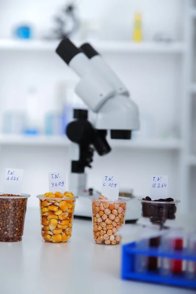 Chemisch laboratorium voor de voedselvoorziening. Voedsel in laboratorium, dna wijzigen . — Stockfoto