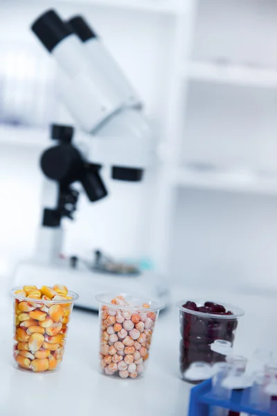 Laboratório Químico do Abastecimento de Alimentos. Alimentos em laboratório, dna modificar  . — Fotografia de Stock