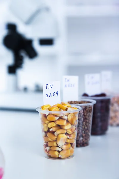 Chemisch laboratorium voor de voedselvoorziening. Voedsel in laboratorium, dna wijzigen . — Stockfoto