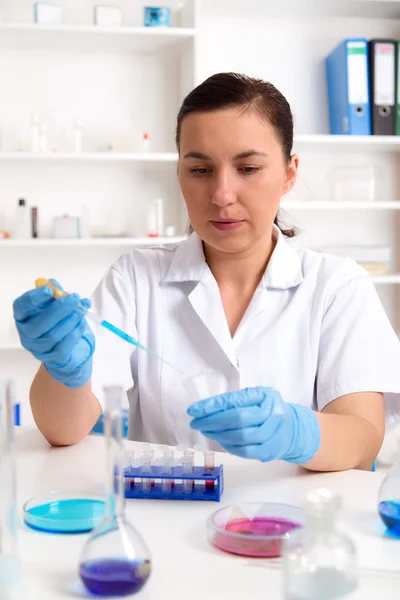 Wetenschapper onderzoeken oplossing in petrischaal in een laboratorium — Stockfoto