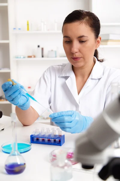 Scientist examining solution in petri dish at a laboratory — Stock Photo, Image