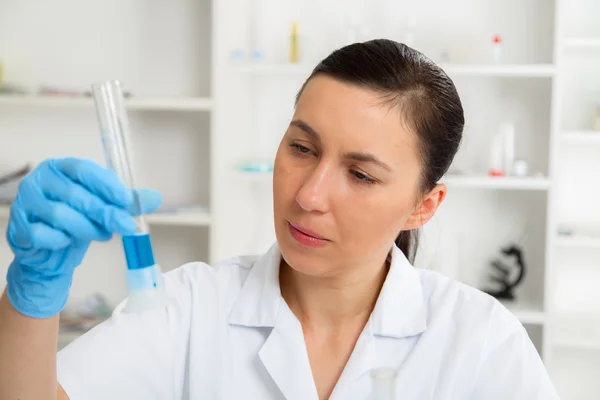 Scientist examining solution in petri dish at a laboratory — Stock Photo, Image