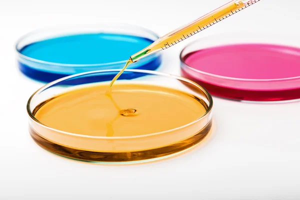 Renkli sıvı ve petri yemekler damla ile pipet — Stok fotoğraf