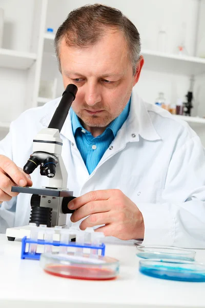 Vrouwelijke wetenschapper analyseren monster In Laboratory.laboratory assistent analyseren van een steekproef. — Stockfoto