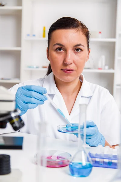 Ung kvinnlig forskare analysera prov i laboratorium.Laboratorium assistent analysera ett prov. — Stockfoto