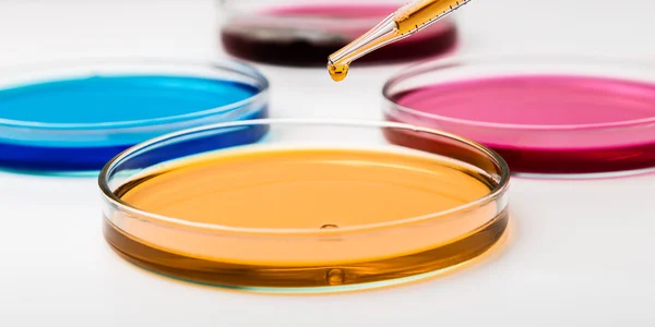 Pipette with drop of color liquid and petri dishes — Stock Photo, Image