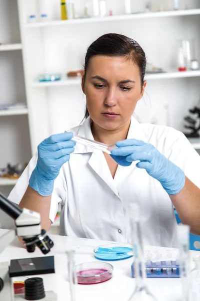 Ung kvinnlig forskare analysera prov i laboratorium.Laboratorium assistent analysera ett prov. — Stockfoto