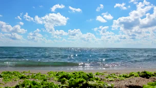 Oceaan zeegezicht schilderachtige met grote golf crashen op zanderige kust. — Stockvideo