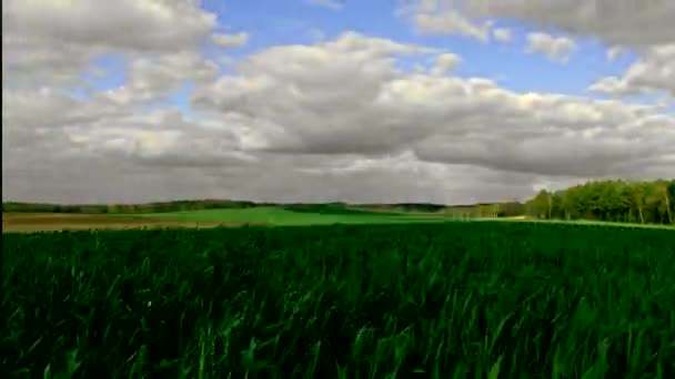 Nuages de Timelapse sur le champ vert . — Video