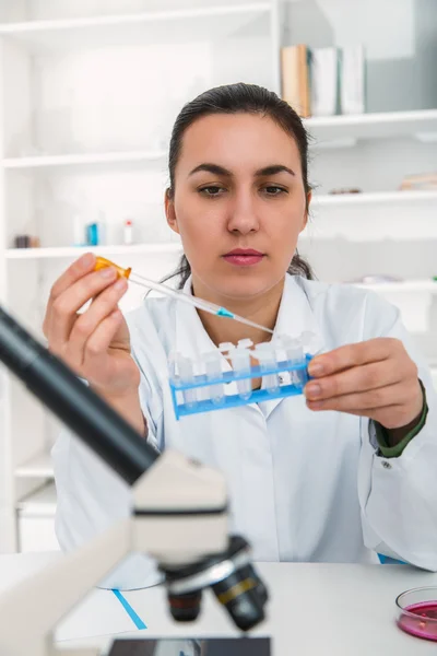 Vrouwelijke wetenschapper analyseren monster In Laboratory.laboratory assistent analyseren van een steekproef. — Stockfoto