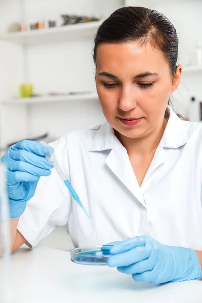 Vrouwelijke wetenschapper analyseren monster In Laboratory.laboratory assistent analyseren van een steekproef. — Stockfoto