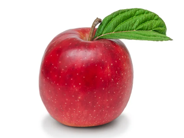 Fresh red apple on white background — Stock Photo, Image